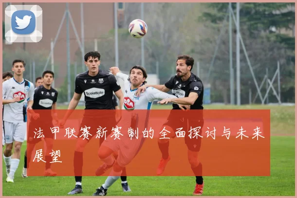 法甲联赛新赛制的全面探讨与未来展望