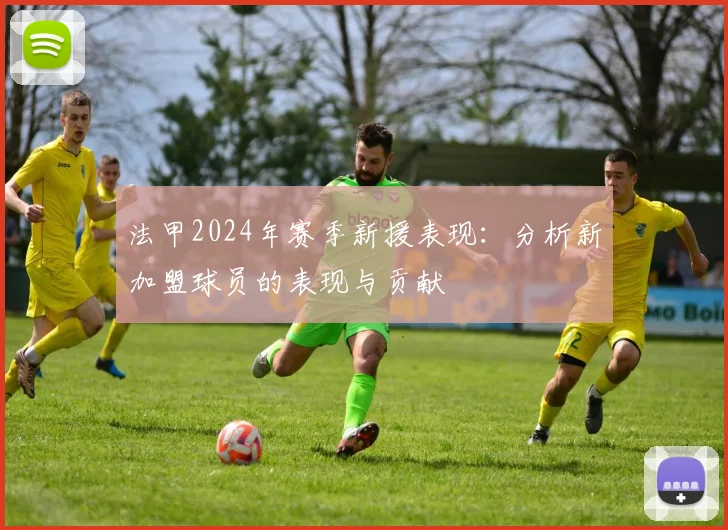 法甲2024年赛季新援表现：分析新加盟球员的表现与贡献