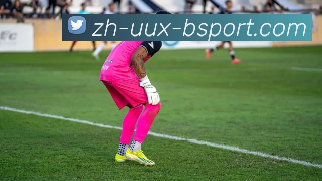 B体育APP 体育赛事宣传图